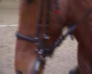 Apple Five Cherveux 31 Janvier