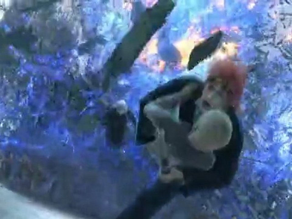 final fantasy 7 advent children complet vostfr [4/7]