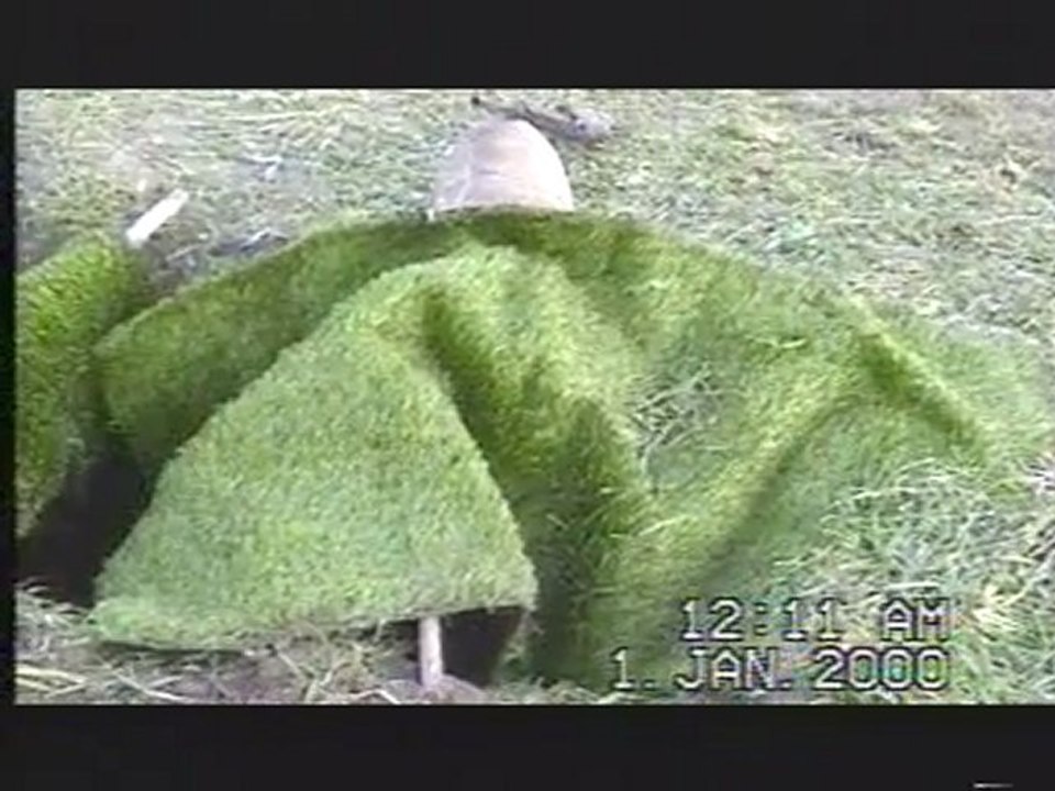 Abdurrahim İMAN Kaz avı Malatya-Arguvan