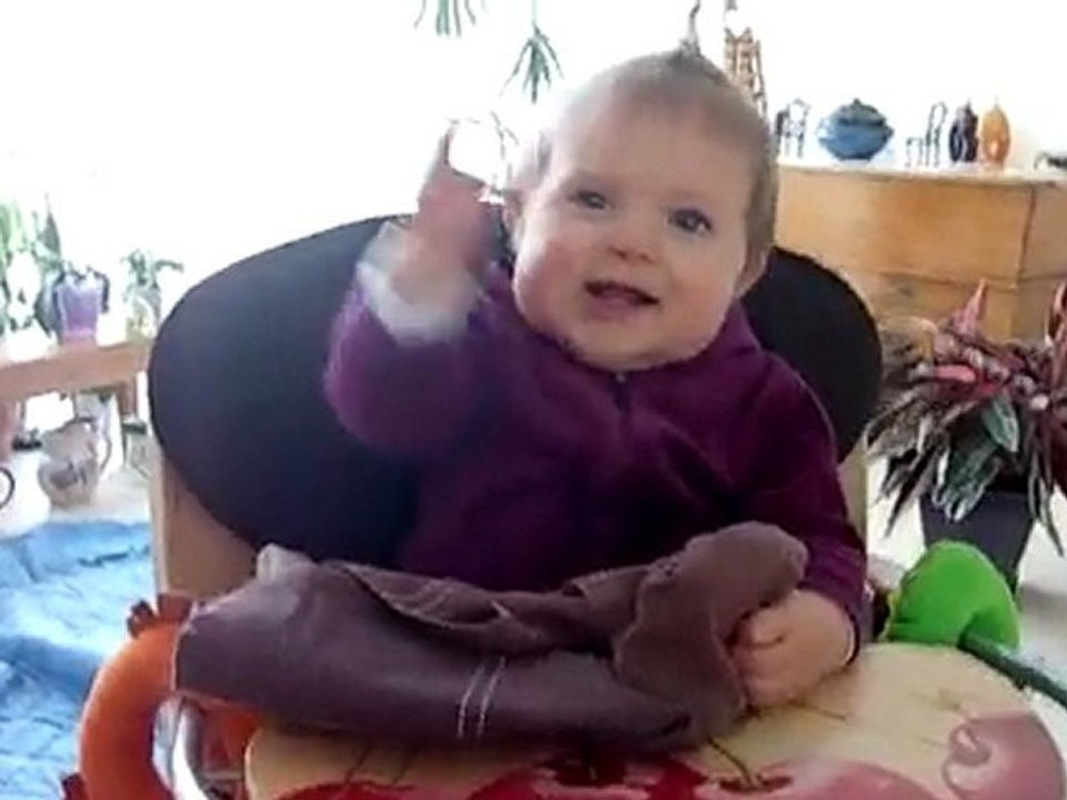 Le palmier de Cerise