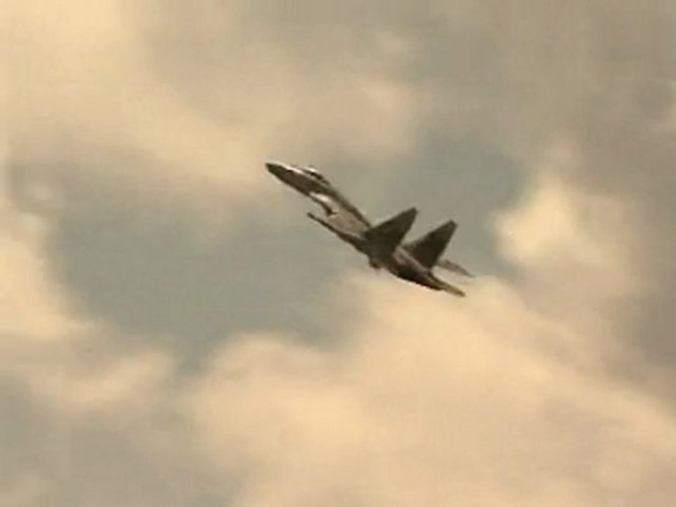 Aviation Russian Sukhoi Su-37 - Gallery Aircraft