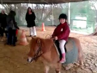 Ceren equitation