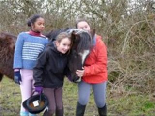 Emma & Lavande = Pour Toujours