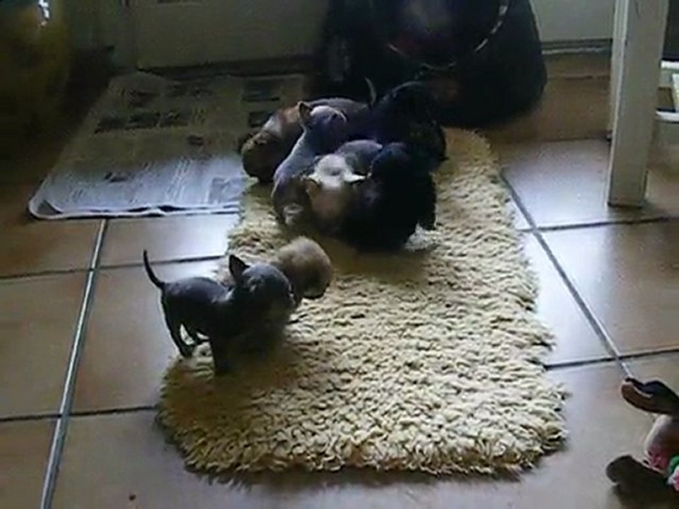 2010_0228chchichi0001