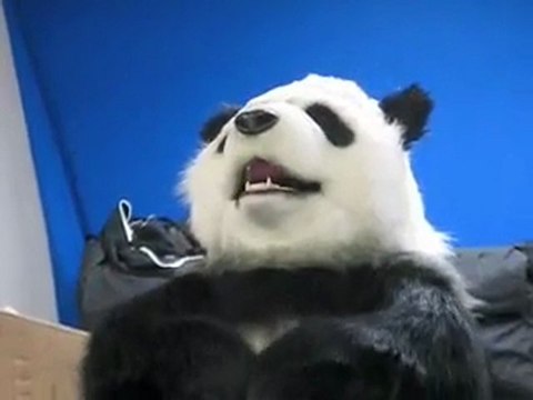 Animatronic Panda Bear suit / costume test