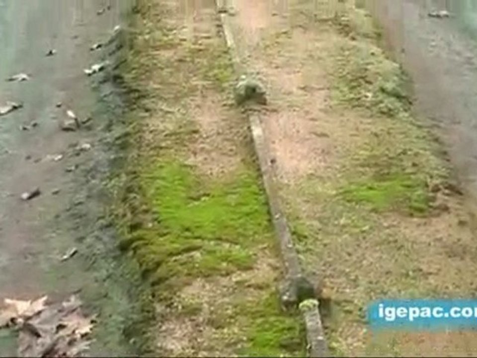 SAUR-Assainissement - un brevet BIO-NATURE à 10 € le m3