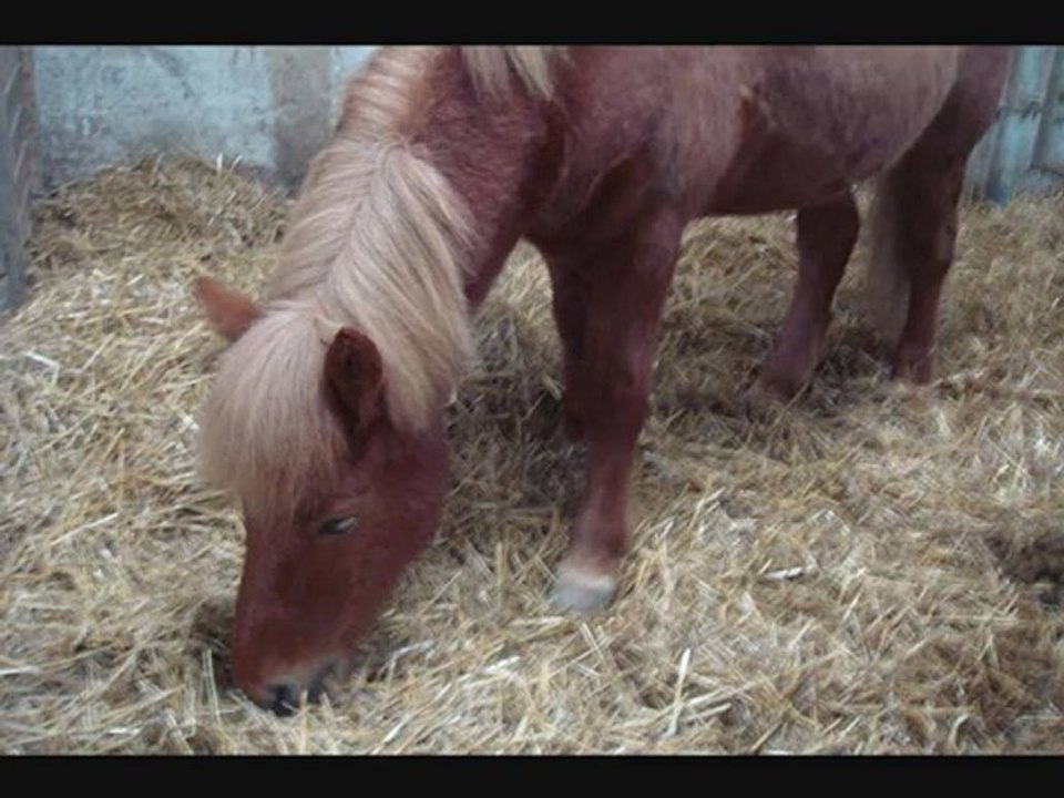 montage 25 et 26 fev2010_0001