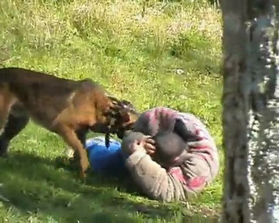 Pirathe du chemin de l'espérance