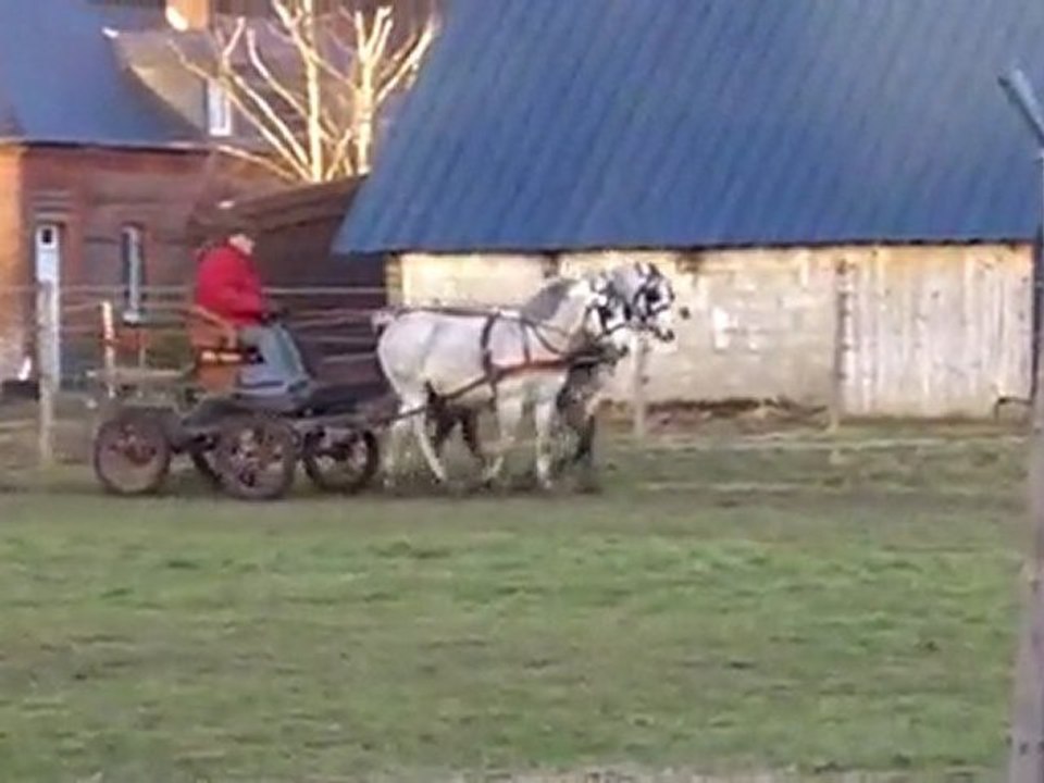 MELU ET LAZIO