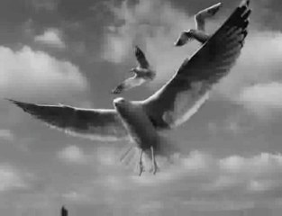 Cem Karaca Çok Yorgunum AS