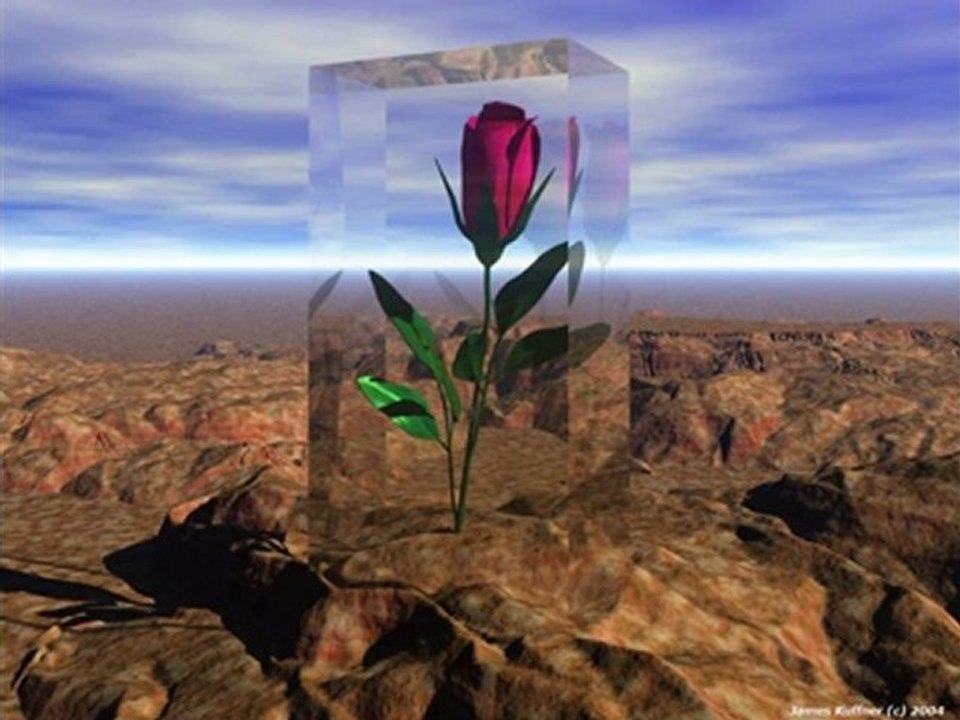 Bestekar Salihi Ben Seni Seviyorum Sevgi Kalender Ekmekci'ye