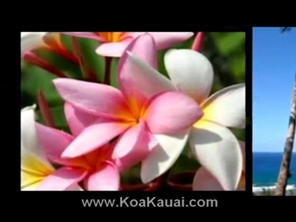 Homes for Sale on Kauai Island