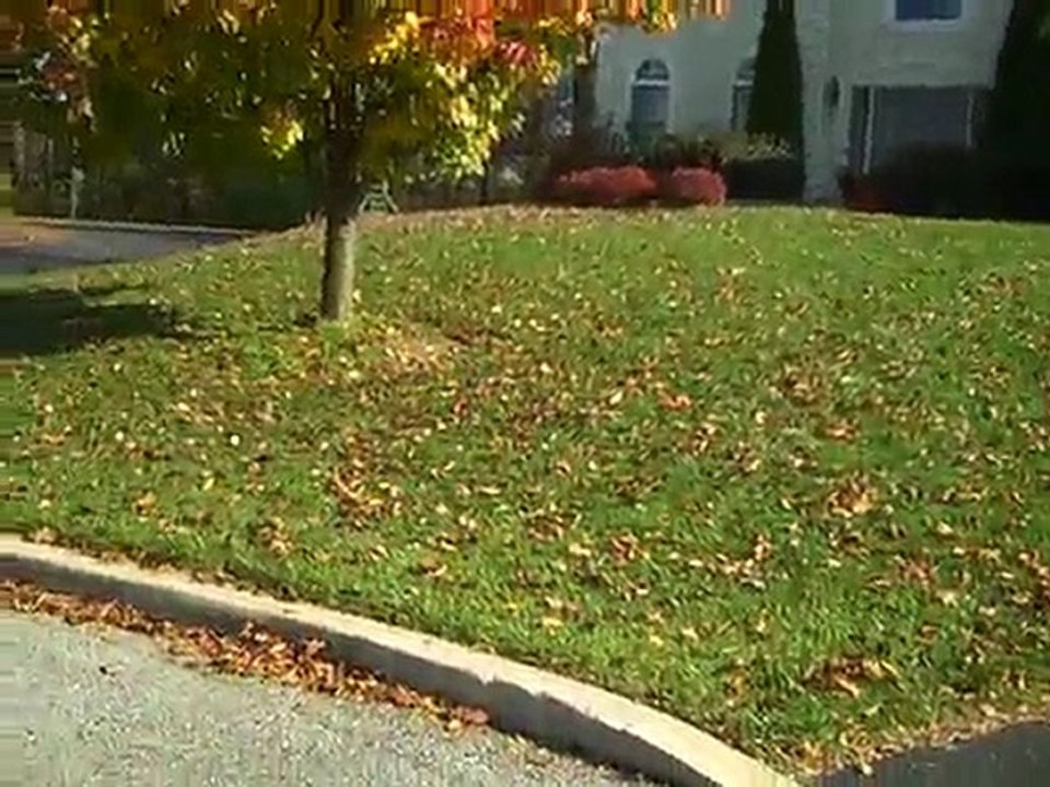 Lawn Care Wilmington De