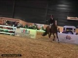 Paard 2010 Onbeteugeld dressuur