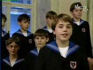 Terry Wey - Ständchen