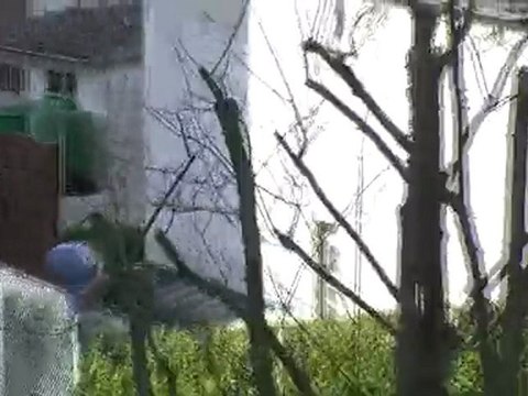 Tempête Xynthia Dijon 28-02-2010