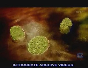 La Menace De L'arme Biologique - 3 de 3