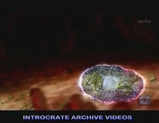 La Menace De L'arme Biologique - 2 de 3