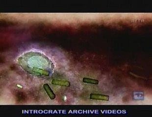 La Menace De L'arme Biologique - 1 de 3