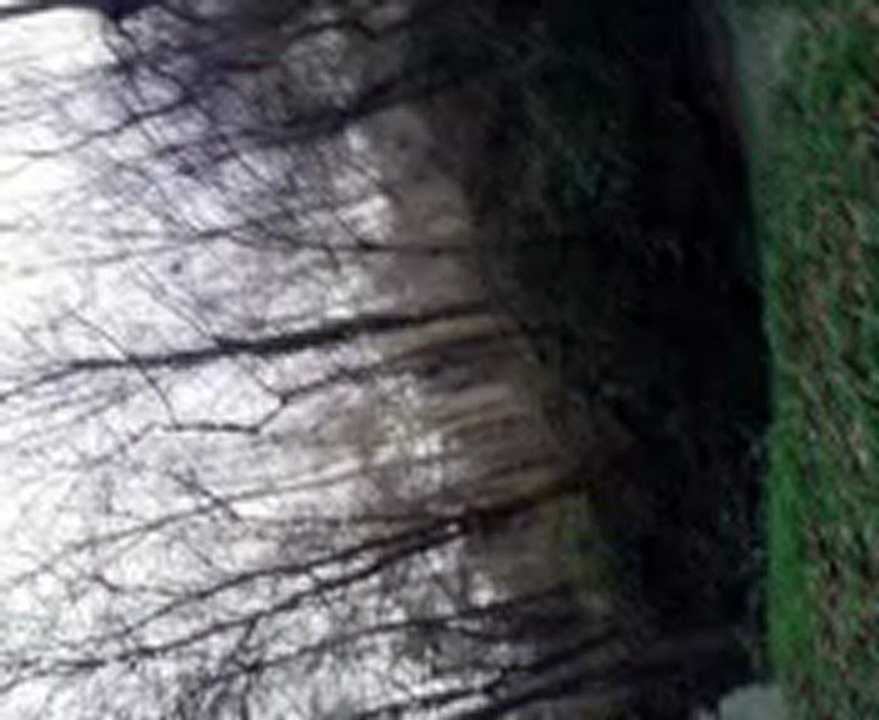 ptite ballade a pieds