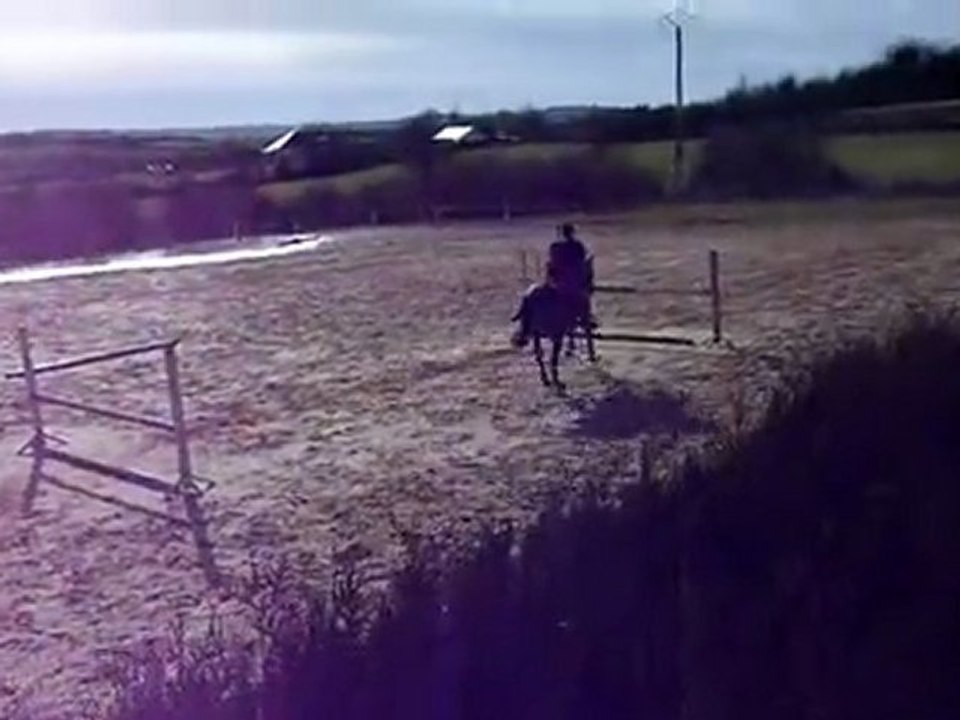 Nathan & Perle en Saut d'obstacles 4.