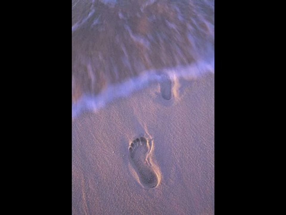 Naser Cheshm Azar --- Rain Of Love