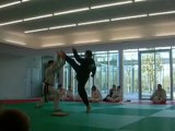 taekwondo ATTILA et KOUBIAK cass en nelyo d'Attila