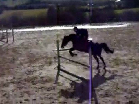 Nathan & Perle en Saut d'obstacles 1.