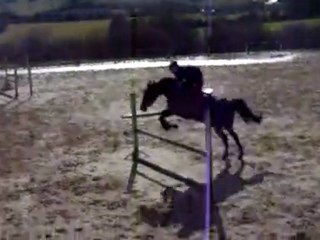 Nathan & Perle en Saut d'obstacles 1.