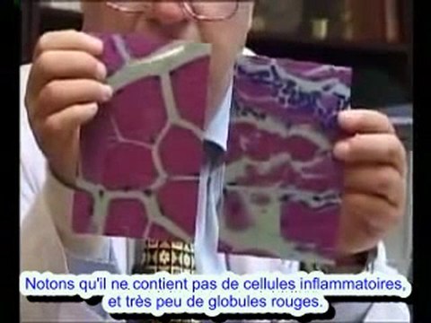 Viandes HALAL et Viandes NON HALAL ,preuves scientifiques!