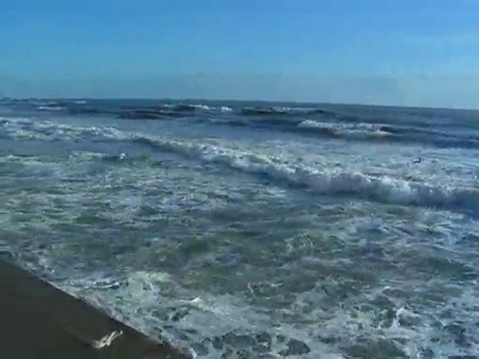 Page 01 - 28.02.2010