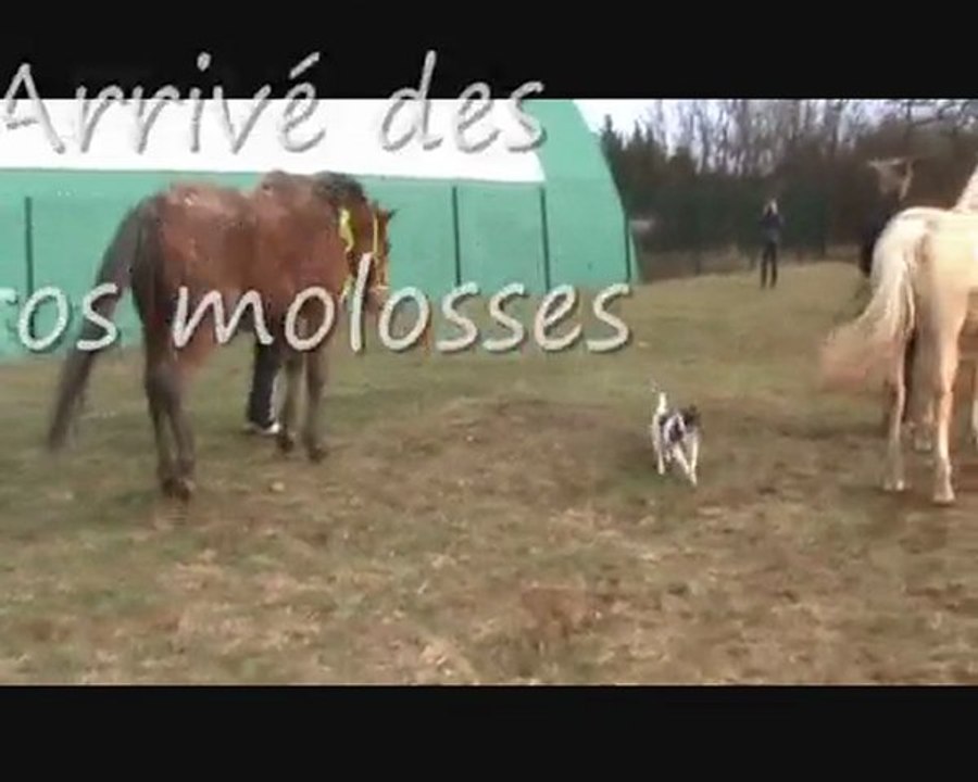 ballade suspens umpy