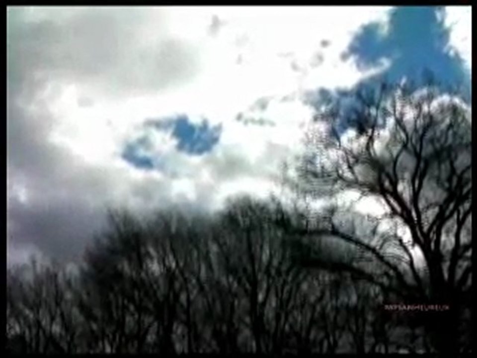 tempête