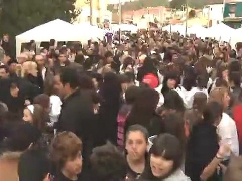 280210 4 Fira al carrer de comerc de Sant Andreu de la Barca