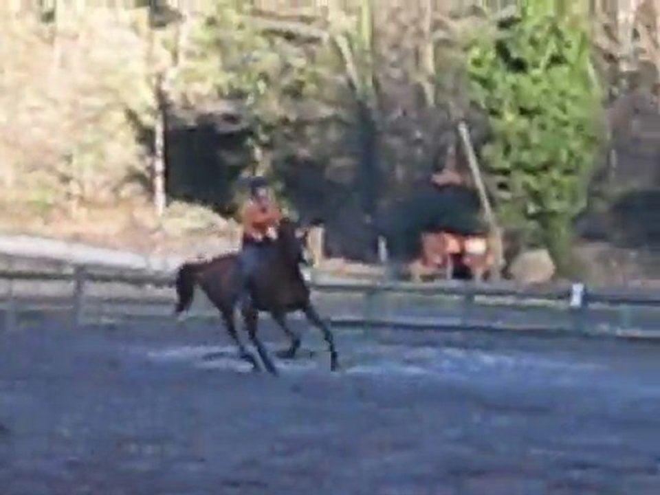 séance obstacle 28/02/2010 double verticaux