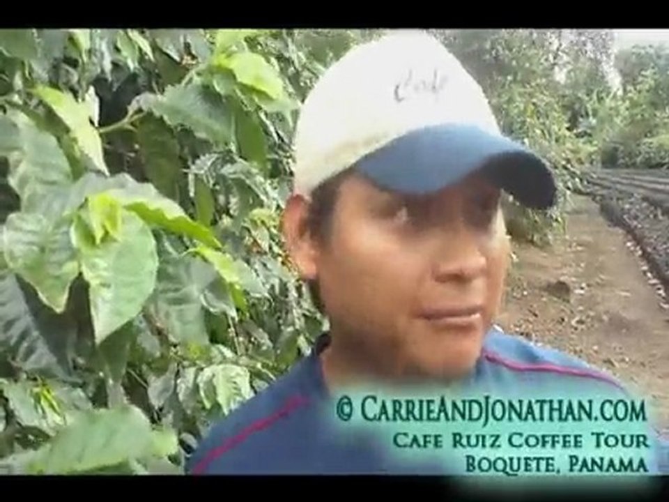 Coffee Tour in Boquete, Panama: Cafe Ruiz Video 3