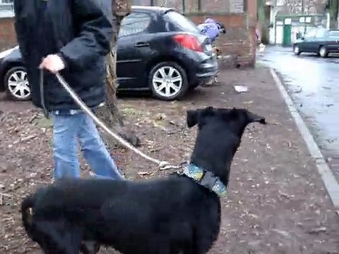 leni 7 ans spa douai 59