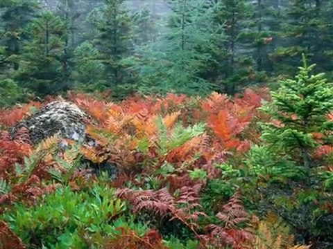 BEKLE BENİ DÖNECEĞİM SUAT SAYIN SADEGÜL