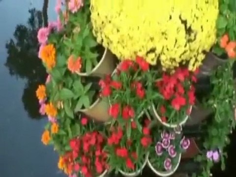 Duong hoa Nguyen Hue, Canh Dan 2010, phan1