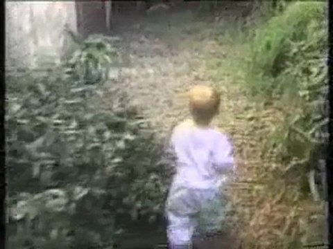 Drole Humour gag video rire drole chat