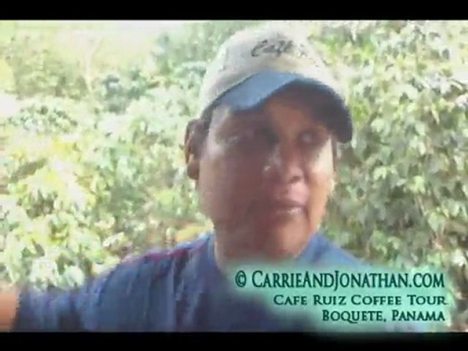Coffee Tour in Boquete, Panama: Cafe Ruiz Video 2