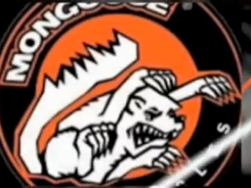 Felt Bikes at Bike Shop in Sydney