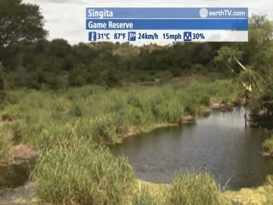 Rio de Janeiro - Brazil, Warsaw - Poland, Ascona - Ticino - Switzerland, Dusseldorf - Germany, Singita - South Africa, Agadir - Morocco, Niagara Falls - Canada