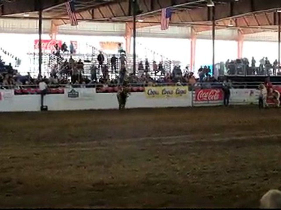 Parada del Sol Rodeo