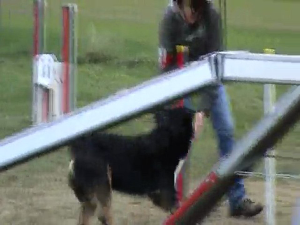 Agility Barry grand bouvier suisse