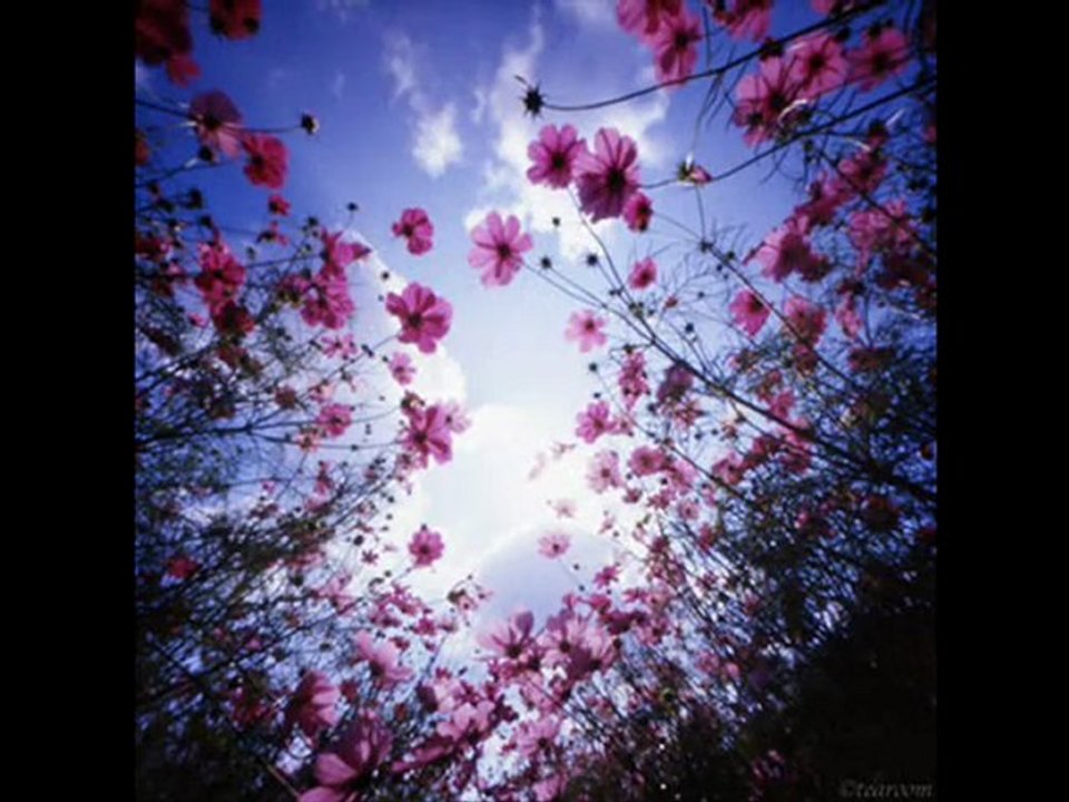 KİMDİ O ..!    teyfik doğan