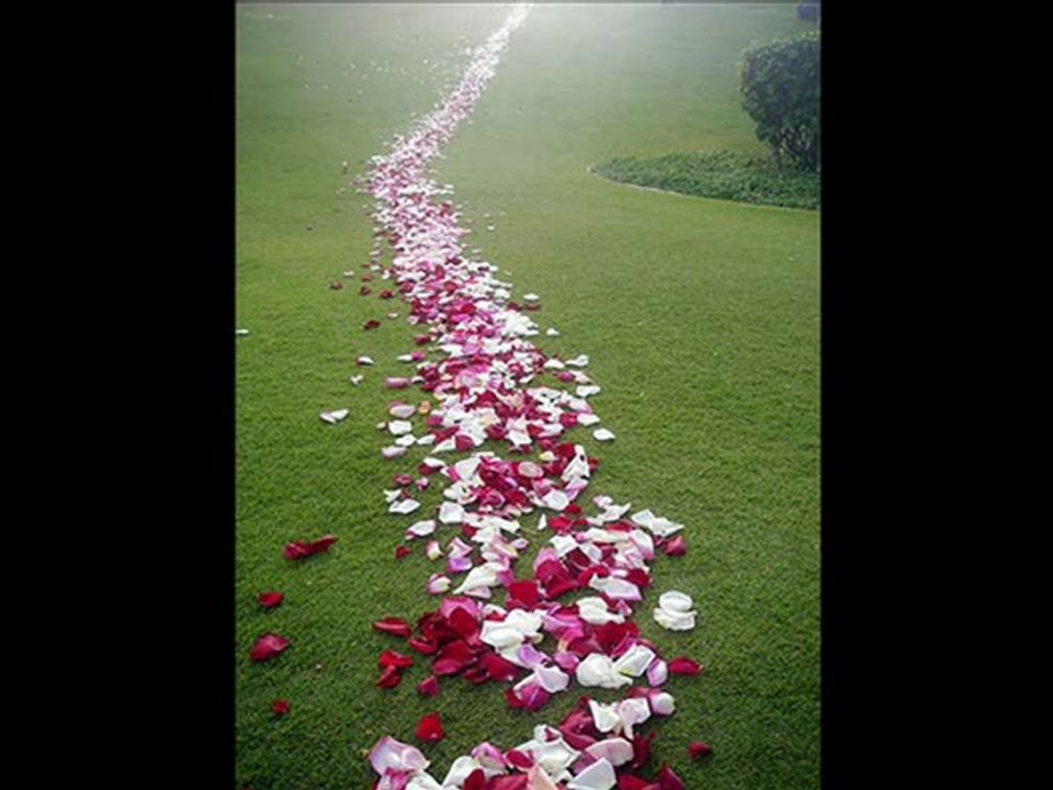 beni güzel hatırla -teyfik doğan