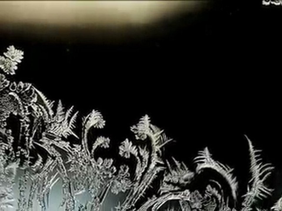 the beauty of frost