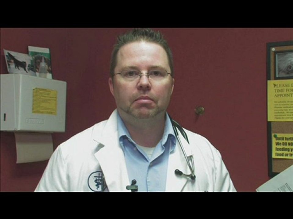 Frontline Breaking the Bank (2009) Watch full movie online m