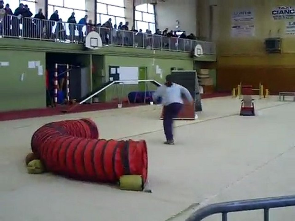 dixie concours d'agility audun le roman 21/02/2010 OPEN